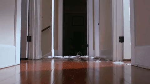 Meet CHiP the Lovable Robot Dog that is Perfect for around the House