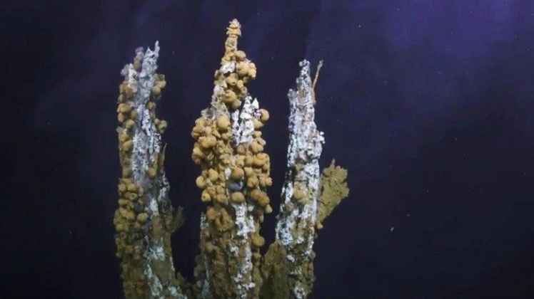 Scientists are using VR to explore a Hydrothermal vent at the bottom of the Ocean