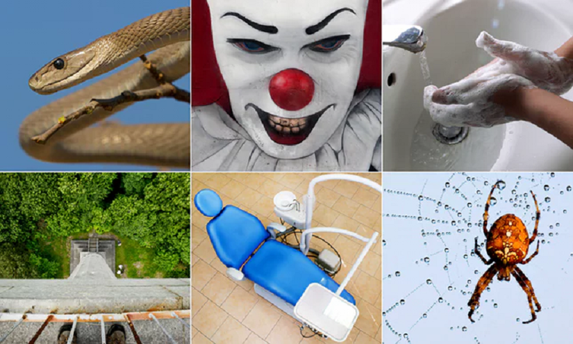 Tests raise hopes for Radical new Therapy for Phobias and PTSD