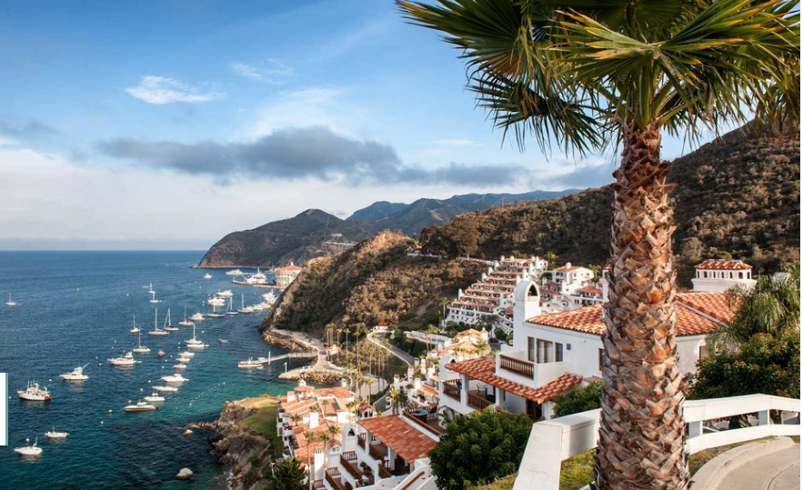 Future of Gaming: Making Humans Digital (AI, Elon Musk, Haptics)