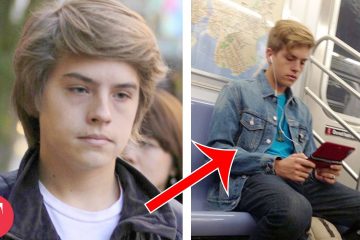 Make a Tri-fold Brochure in Word