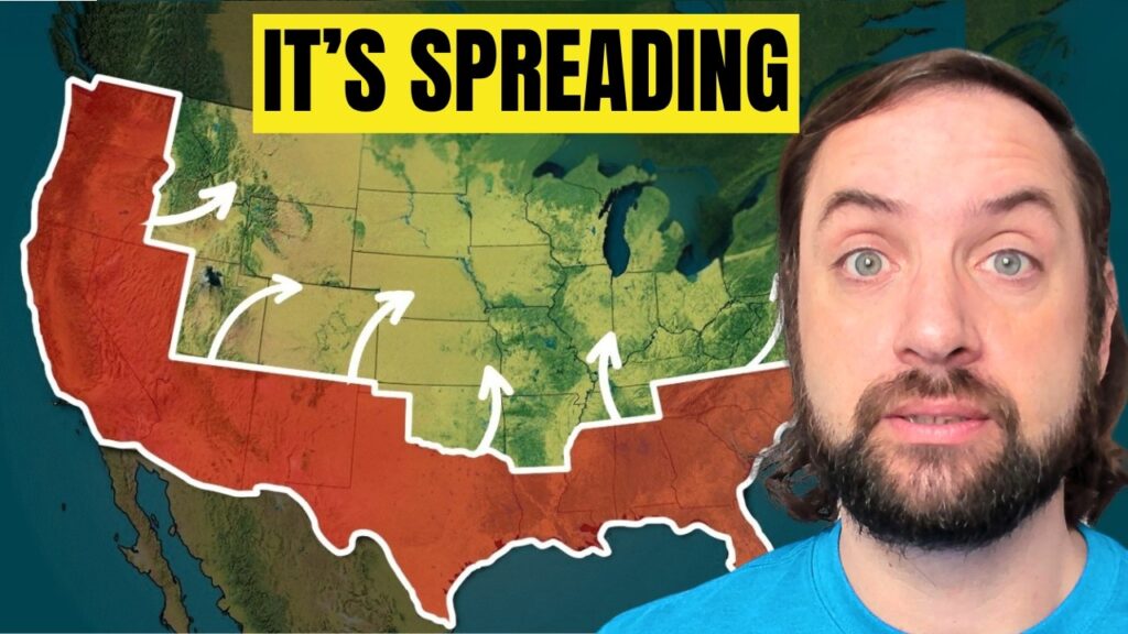 America’s Housing Market Is Breaking (Again)