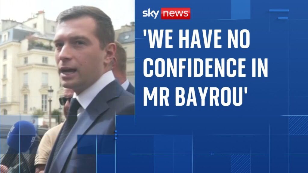 French politician ‘wants fresh national assembly elections’