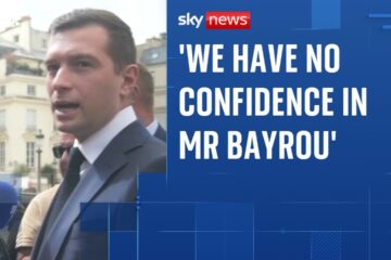 French politician ‘wants fresh national assembly elections’