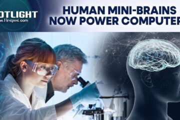 Swiss Scientists Create Computers Made from Living Brain Cells